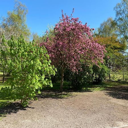 B&B Bosstee Vledderveen  Exteriör bild