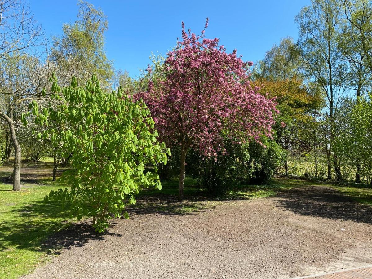 B&B Bosstee Vledderveen  Exteriör bild